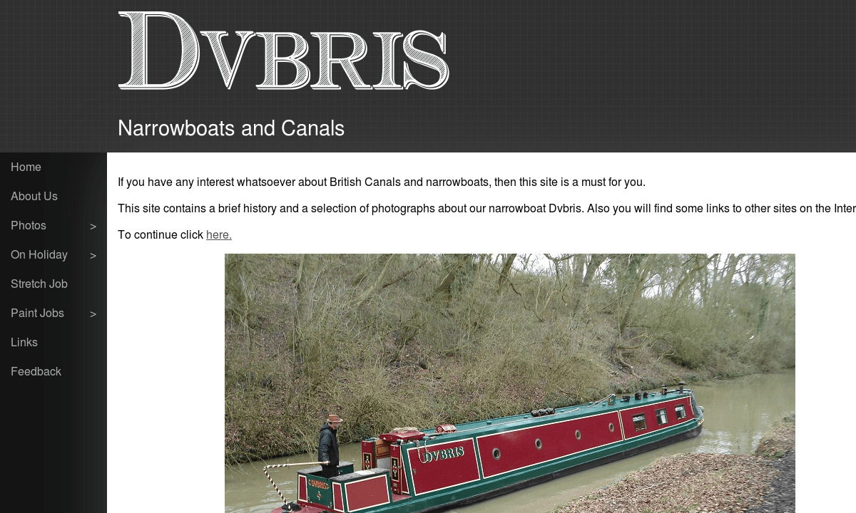 Screenshot of dvbris.co.uk